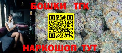 гашик Можга