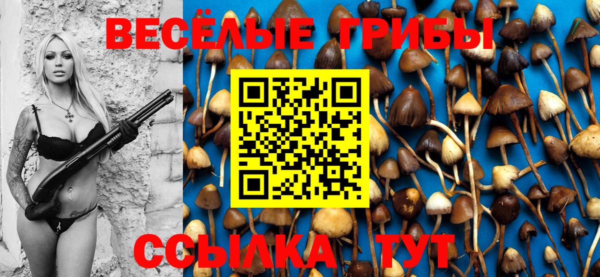 Псилоцибиновые грибы Magic Shrooms Сланцы