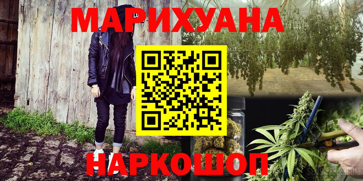 Каннабис планчик  Вход с VPN  Конопля Bruce Banner  Марихуана сатива  Сланцы 